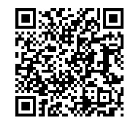 QR Code PIX